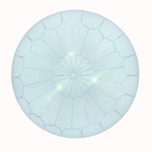 Panera Led 12w Mlesso. Paquete De 10