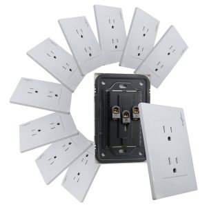 Paquete De 10 Placas Blancas Duplex (2 Contactos) Completos